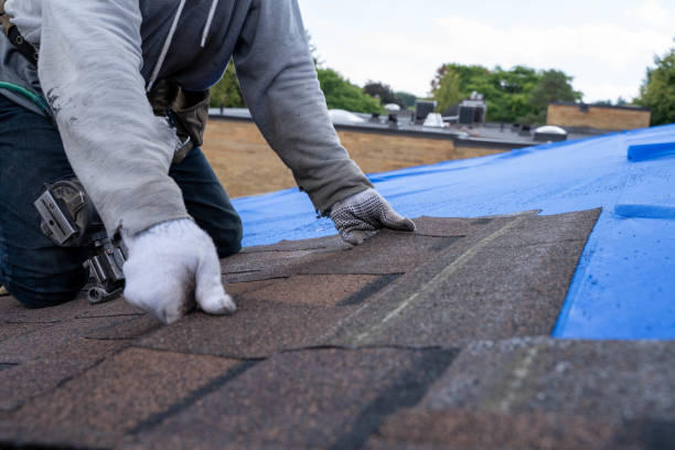 Best Roof Gutter Cleaning  in Belle, WV