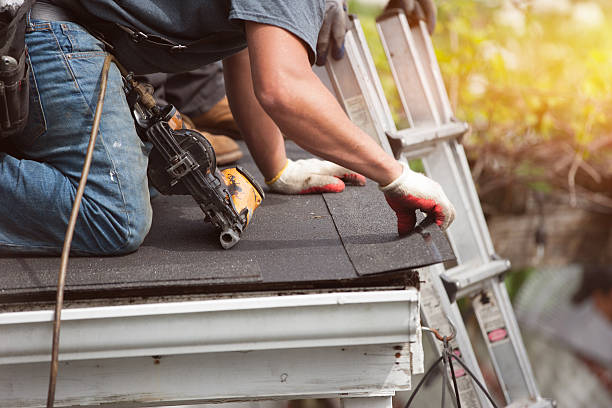 Best Roof Maintenance Services  in Belle, WV