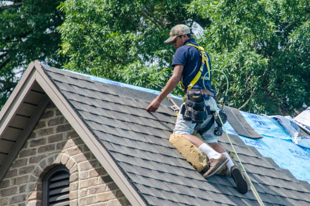 Best Slate Roofing Contractor  in Belle, WV